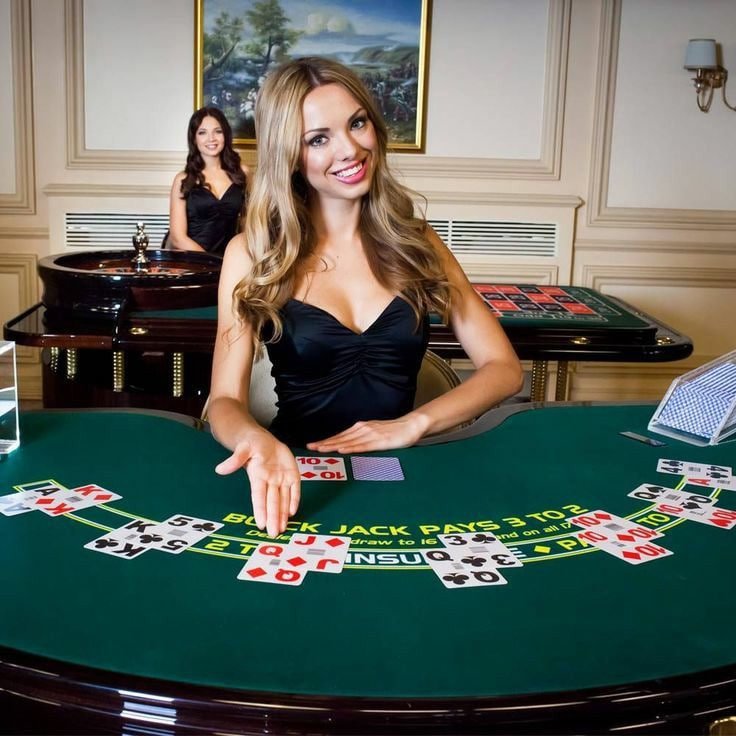 okking67 Live Casino